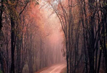 NBA在线直播JRS无插件直播靠谱吗？怎么用？优势在哪？